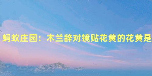 蚂蚁庄园：木兰辞对镜贴花黄的花黄是什么？