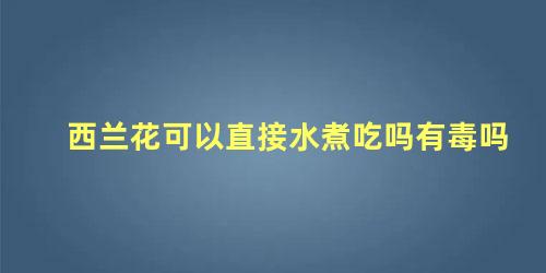 西兰花可以直接水煮吃吗有毒吗