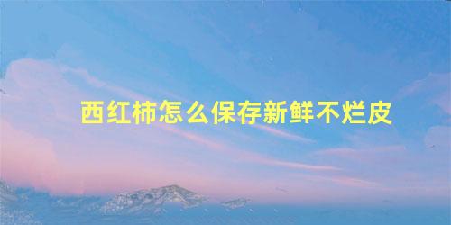 西红柿怎么保存新鲜不烂皮