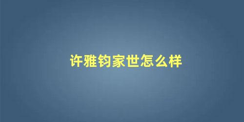 许雅钧家世怎么样
