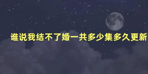 谁说我结不了婚一共多少集多久更新