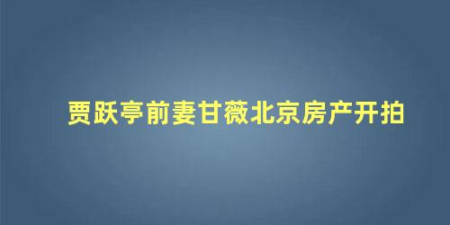 贾跃亭前妻甘薇北京房产开拍