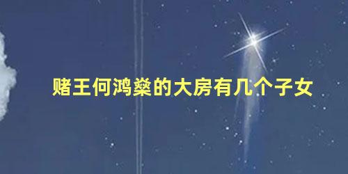 赌王何鸿燊的大房有几个子女