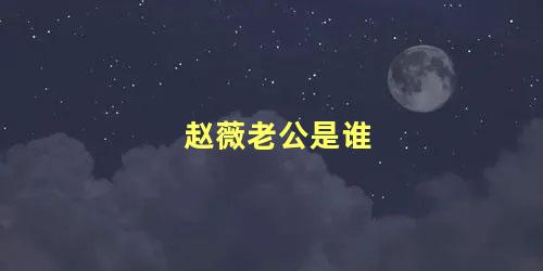 赵薇老公是谁