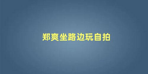 郑爽坐路边玩自拍