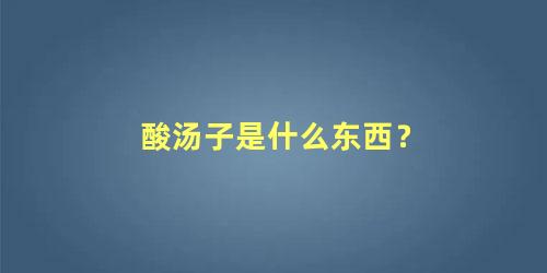 酸汤子是什么东西？