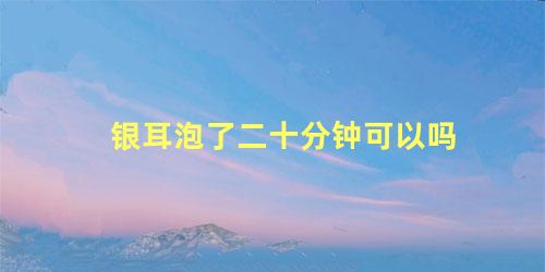 银耳泡了二十分钟可以吗