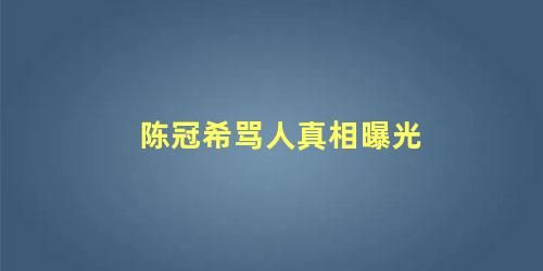 陈冠希骂人真相曝光