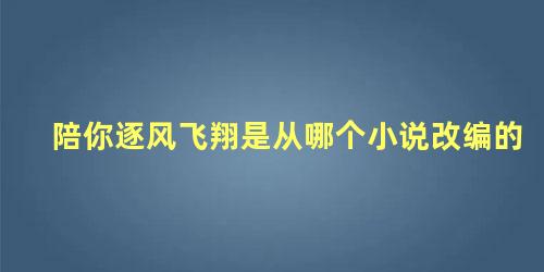 陪你逐风飞翔是从哪个小说改编的