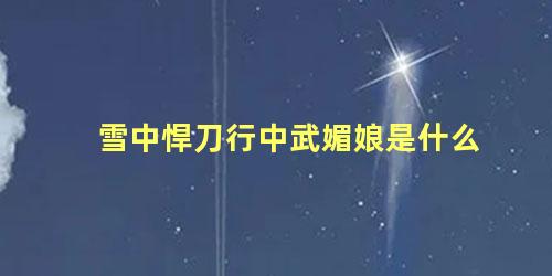 雪中悍刀行中武媚娘是什么