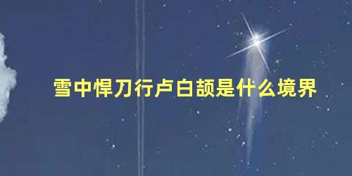 雪中悍刀行卢白颉是什么境界