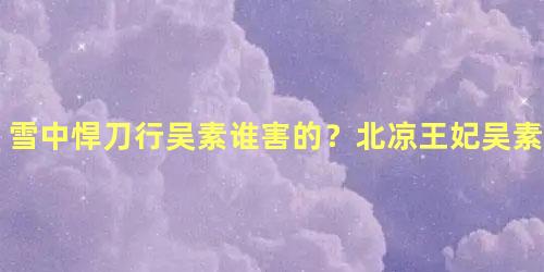 雪中悍刀行吴素谁害的？北凉王妃吴素谁杀的怎么死的