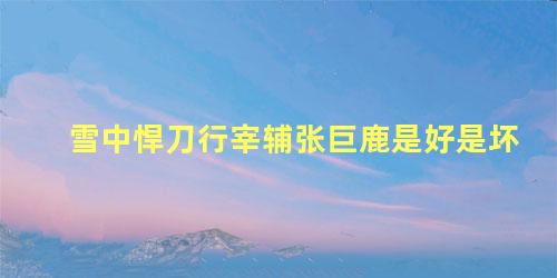 雪中悍刀行宰辅张巨鹿是好是坏