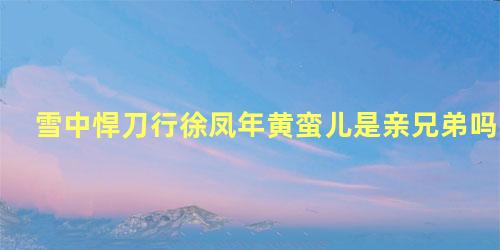 雪中悍刀行徐凤年黄蛮儿是亲兄弟吗
