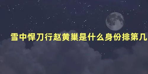 雪中悍刀行赵黄巢是什么身份排第几