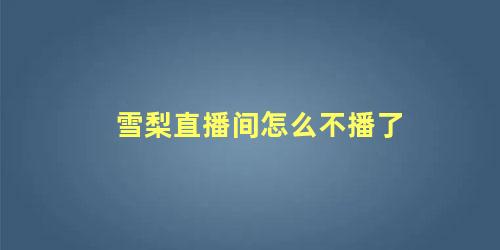 雪梨直播间怎么不播了