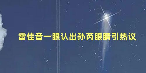 雷佳音一眼认出孙芮眼睛引热议