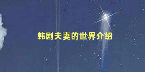 韩剧夫妻的世界介绍