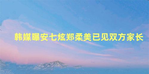 韩媒曝安七炫郑柔美已见双方家长