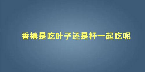 香椿是吃叶子还是杆一起吃呢