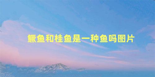 鳜鱼和桂鱼是一种鱼吗图片