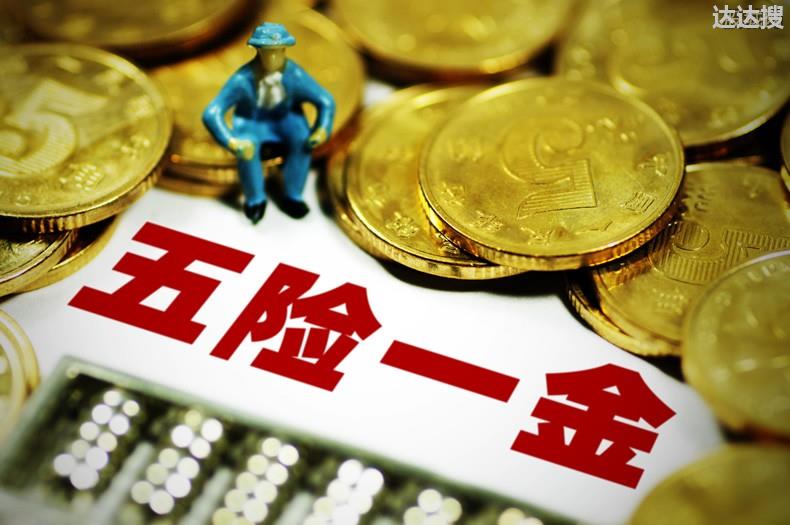 五险一金缴费情况