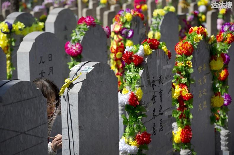 清明代客扫墓服务