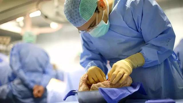 澳洲将海外招募医生