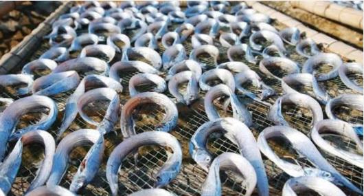 网红海鲜电商篡改保质期被查封