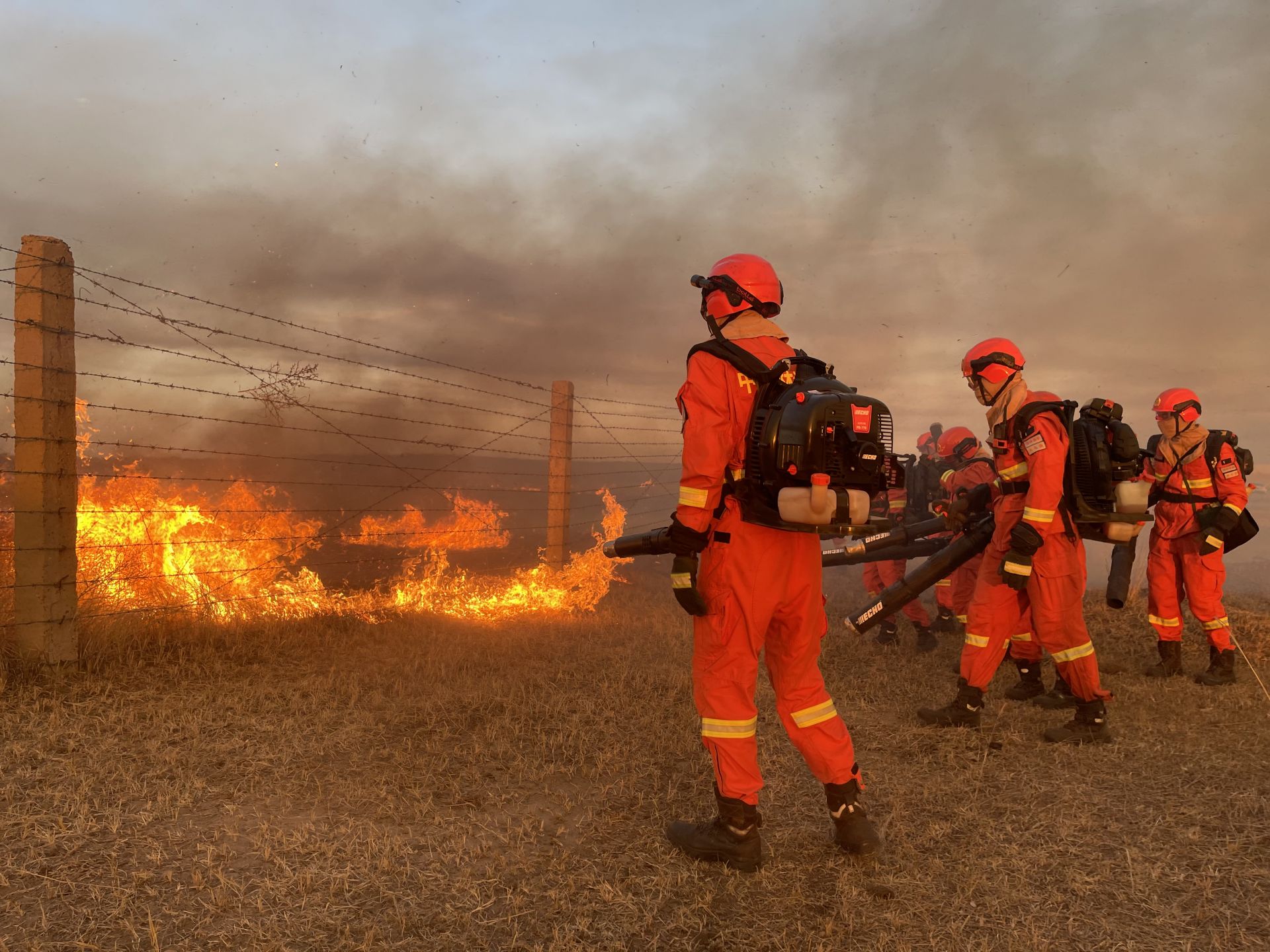 内蒙古成功堵截蒙古国草原入境火灾