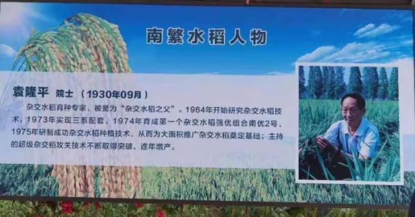 袁隆平的一生，一半在湖南，另一半在这里