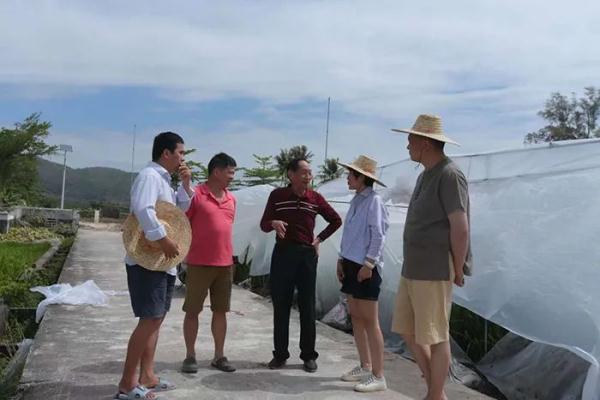 袁隆平的一生，一半在湖南，另一半在这里