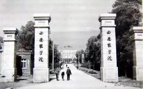 “杂交水稻之父”袁隆平，折服日本人，令美日德惊讶羡慕的科学家