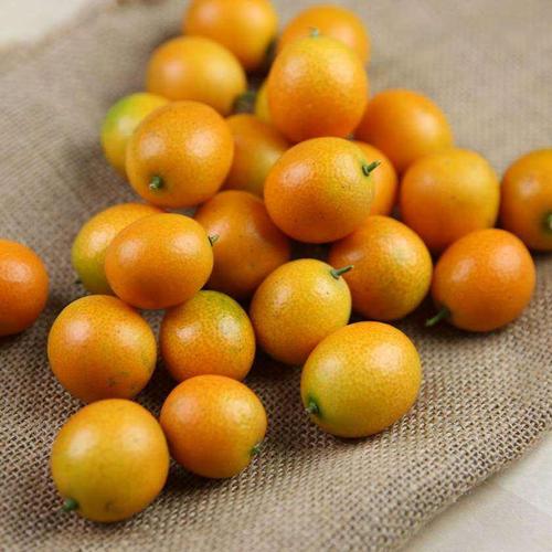 橘子和枣子能一起吃吗