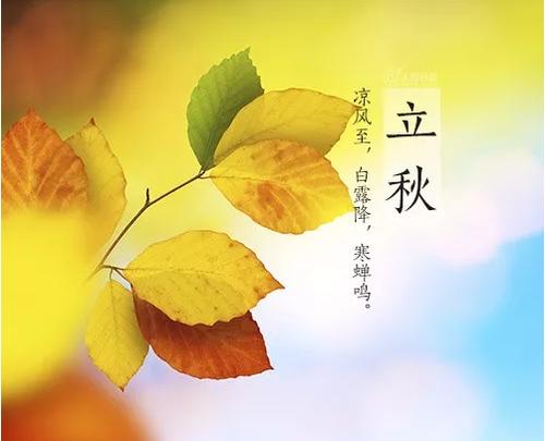 立秋后会凉快吗