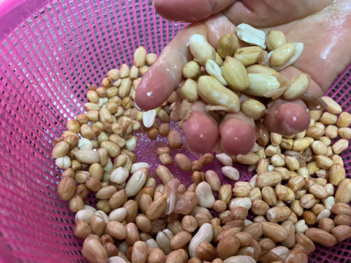 怎样快速剥掉花生皮