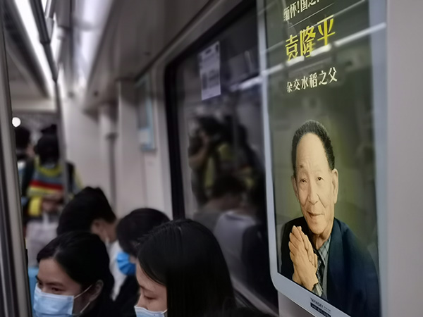 袁隆平简介及主要事迹