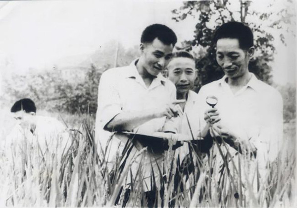 袁隆平简介及主要事迹