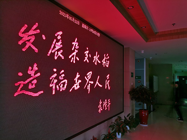 袁隆平简介及主要事迹