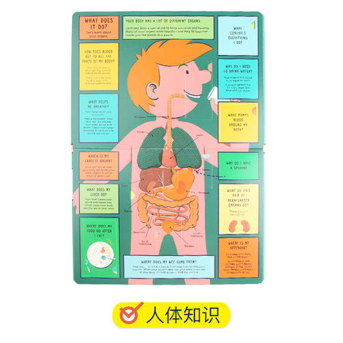 人体什么可以绕地球一圈