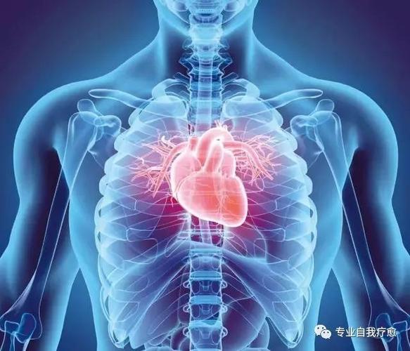 人身体里的血管能绕地球几圈