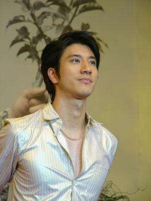 王力宏有外国血统吗