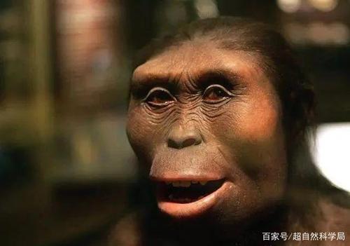 9000000亿年后的人类