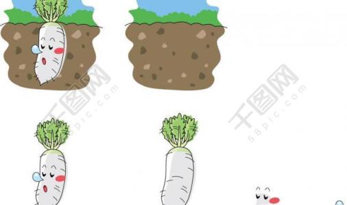 白萝卜移栽后会长萝卜吗