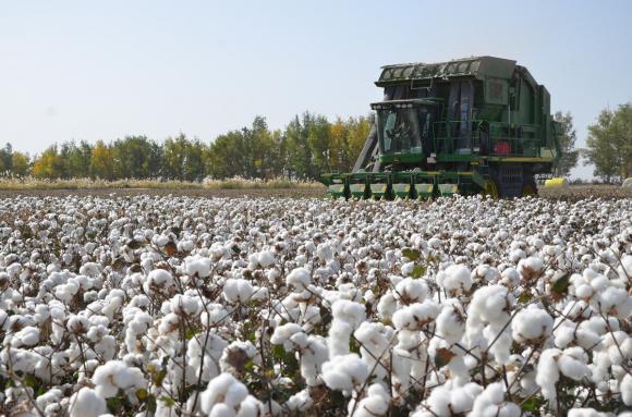 新疆棉花事件涉及品牌