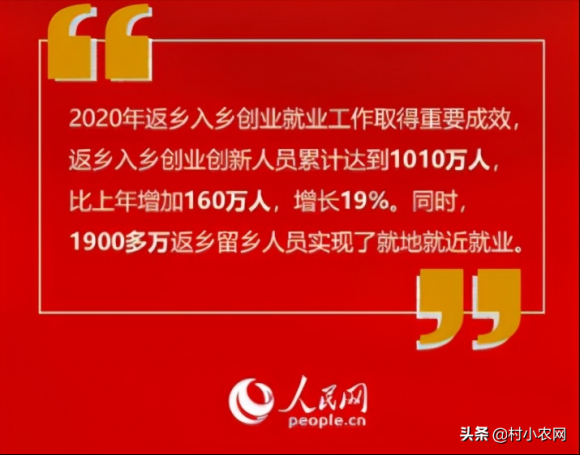 养殖业什么最赚钱农村