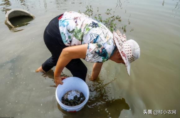 养殖业什么最赚钱农村