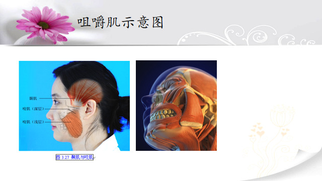 瘦脸针的危害有什么副作用