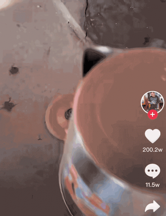 千万粉丝张同学被消防和交警点名