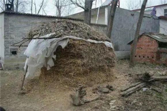 千万粉丝张同学被消防和交警点名